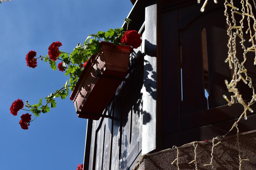 Martin Club Hotel Bansko Dış mekan fotoğraf